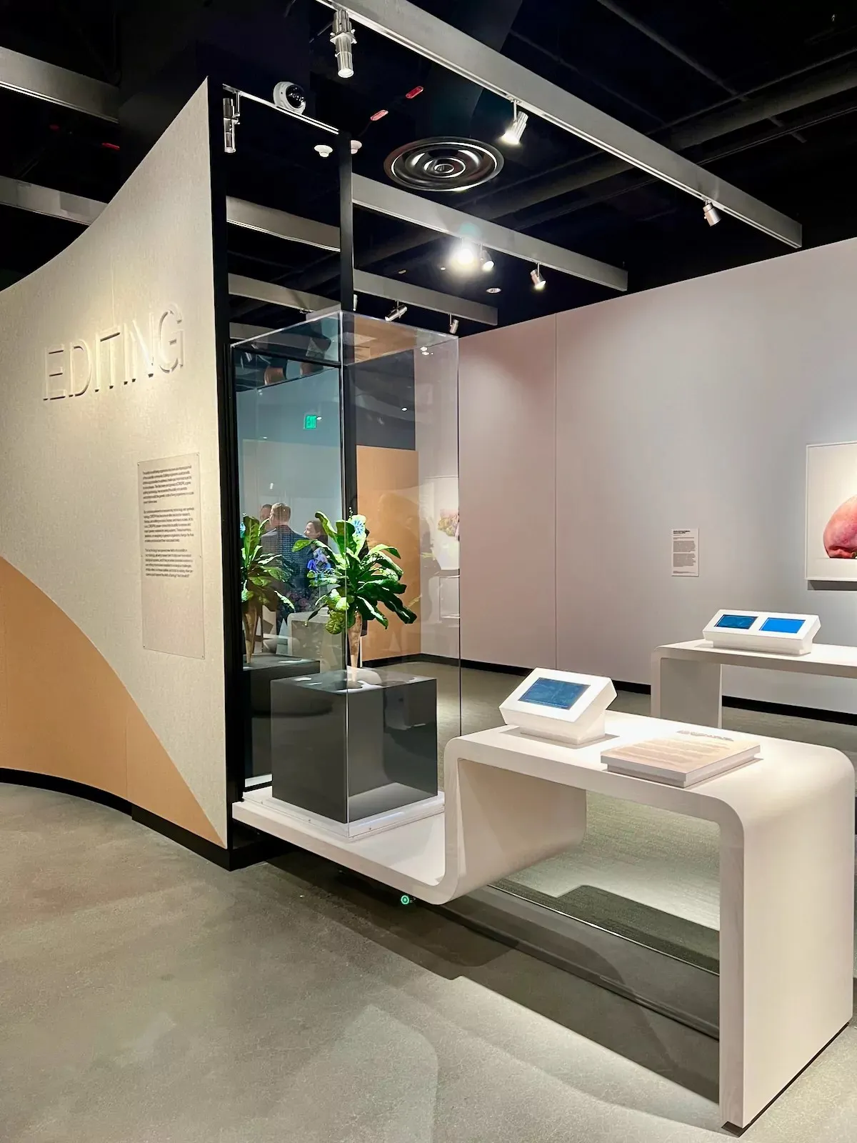 Promotional image for Gene Cultures at MIT Museum.