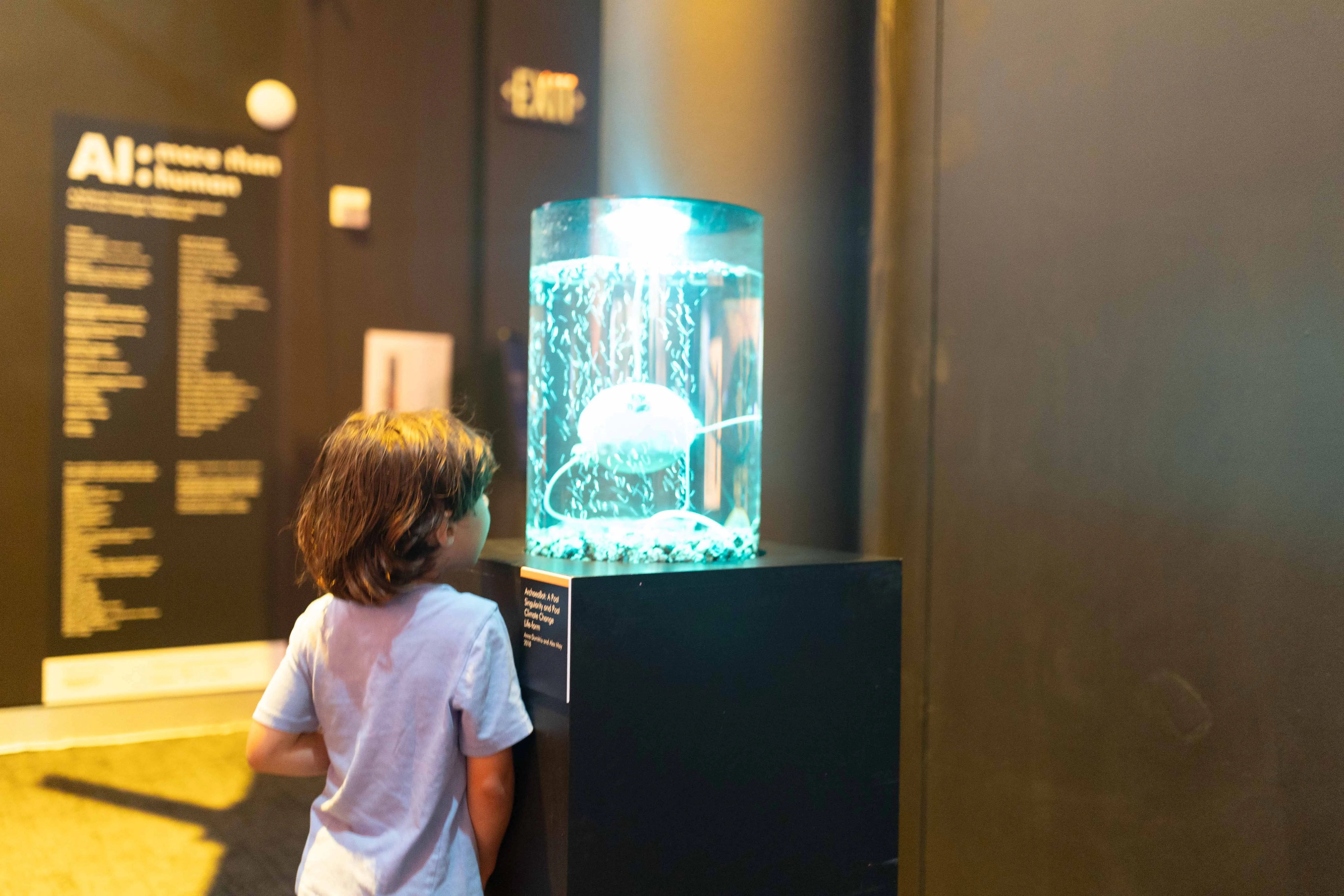 Installation view of ArchaeaBot in AI: More Than Human at the Frost Museum of Science in Miami.