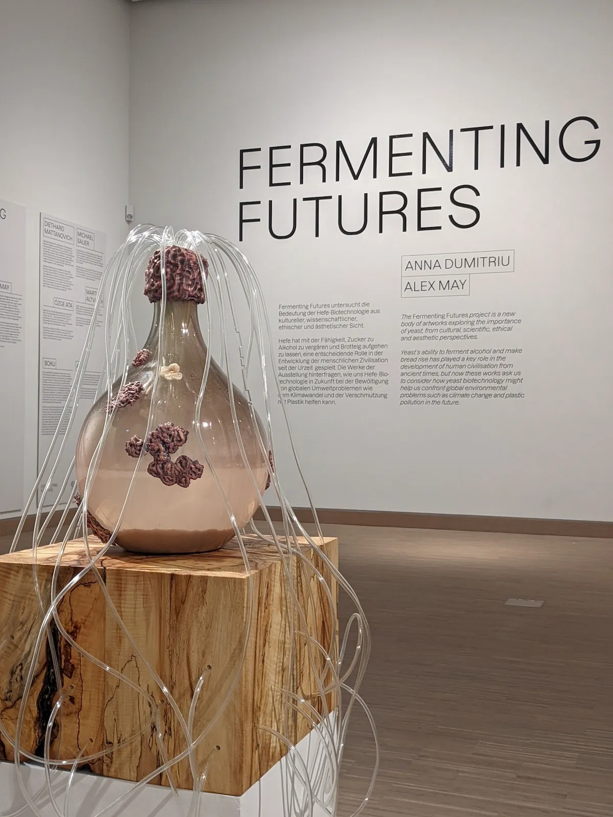 Fermenting Futures